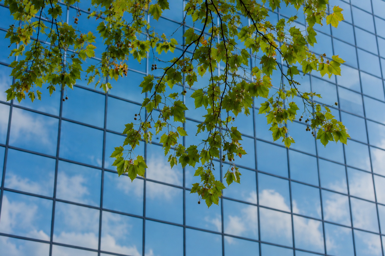 ESG and Compliance Operations Banner